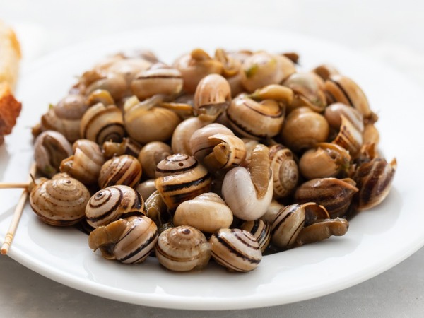 CARACOLES