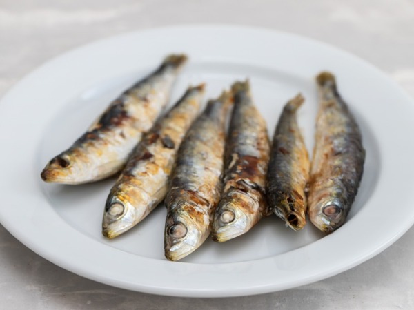 SARDINEN