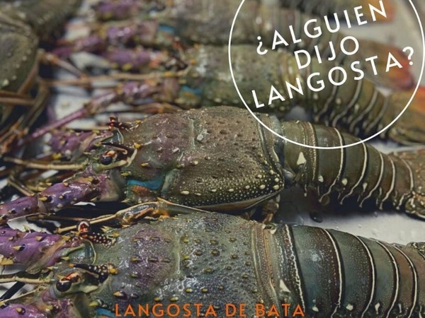 Lagosta Bata grelhada