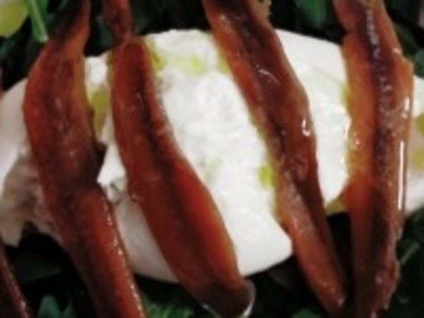 FRISCHE PUGLIESISCHE BURRATA MIT KANTABRISCHEN SARDELLEN 