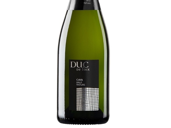 Duc de Foix