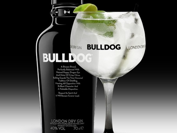 BULLDOG