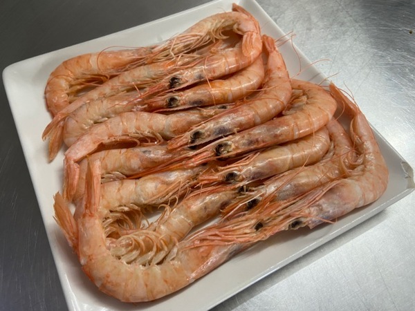 GAMBA SALADA KM0 d’AGULLÓ