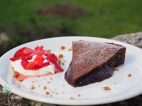 Bizcocho fluido de chocolate