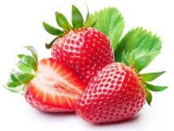 FRESA