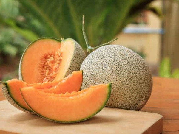 MELÓN