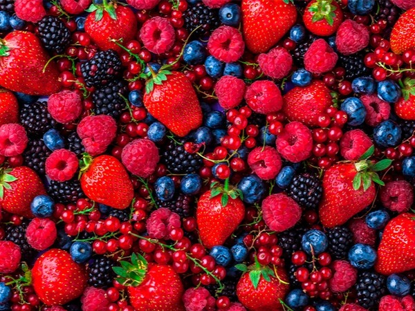 FRUTAS DEL BOSQUE