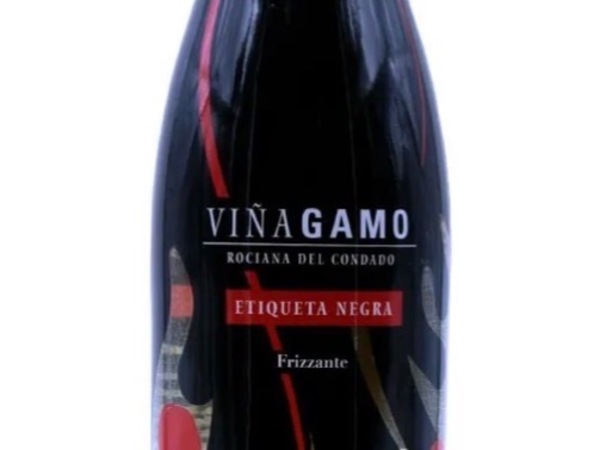Vino blanco afrutado Viñagamo etiqueta negra 