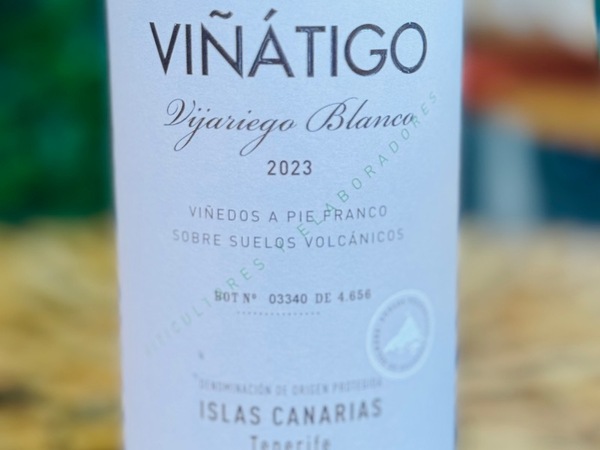 VIÑÁTIGO VIJARIEGO BLANCO