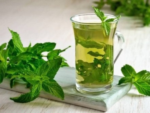 Menta Poleo