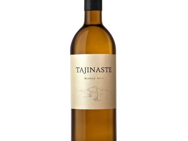 Tajinaste weiß (La Orotava)