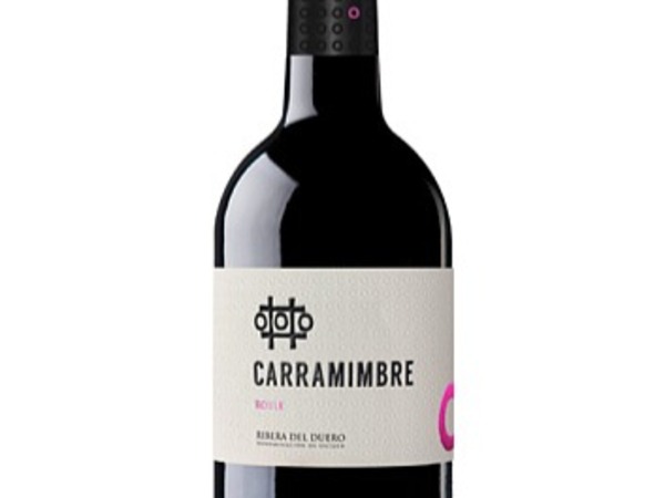 Carraminbre ribera del Duero roble 2023 