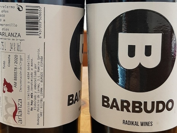 Barbudo
