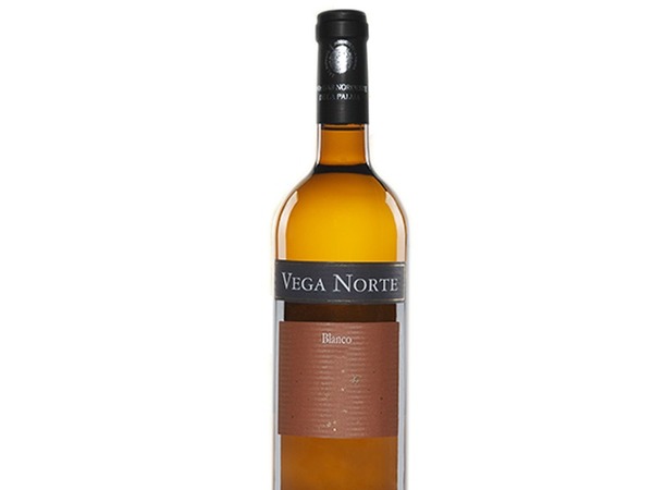 Vega Norte