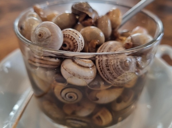 Caracoles