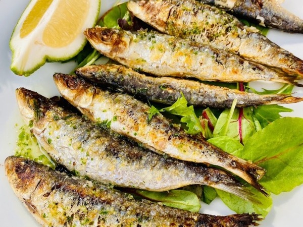 Grilled sardines 