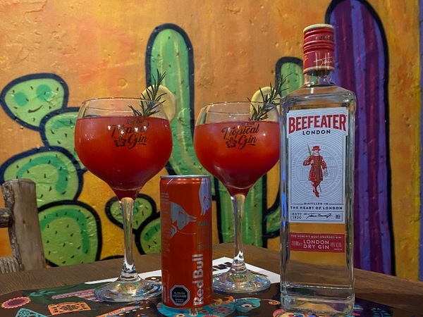 GIN DE VERANO X2 500cc c/u
