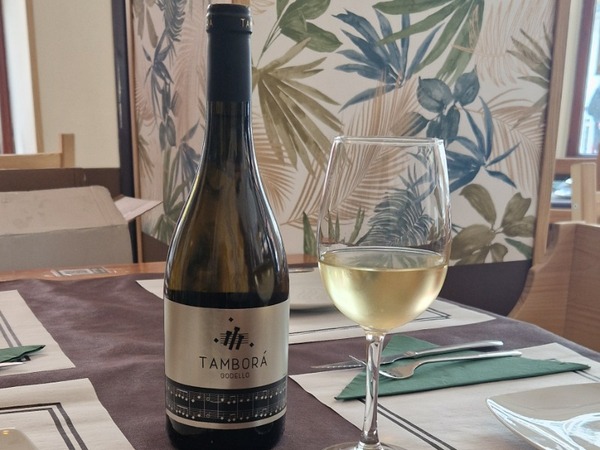 TAMBORA (GODELLO)