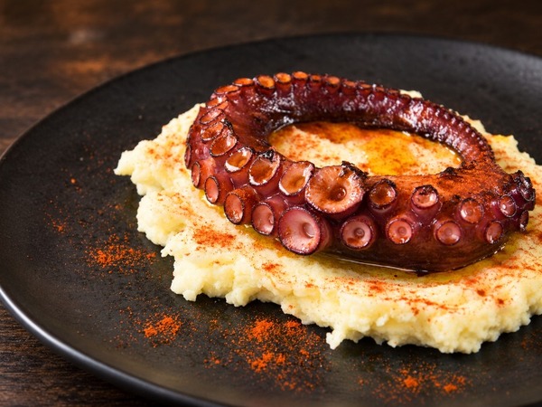 Gegrillter Tintenfisch mit Püree