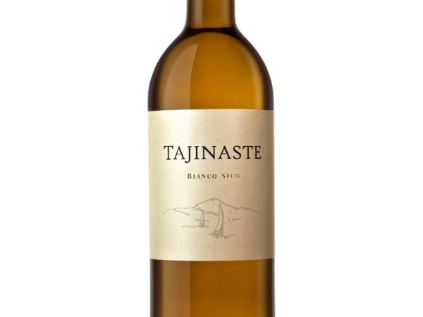 Tajinaste blanco Seco 