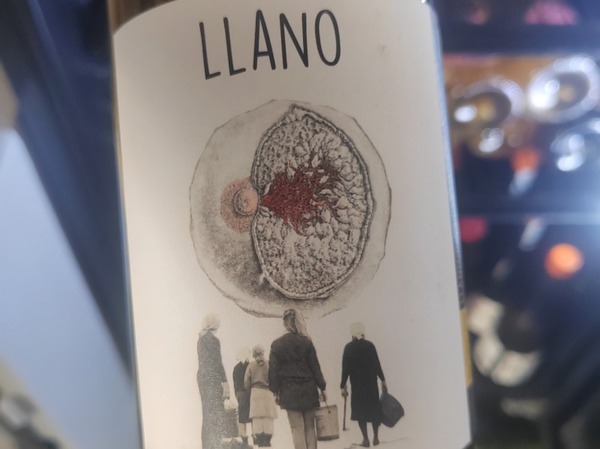 Llano 23 