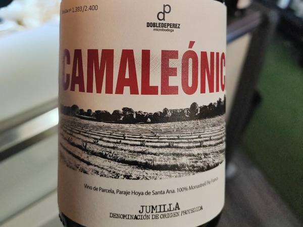 Camaleónica 22 