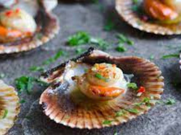 Scallops
