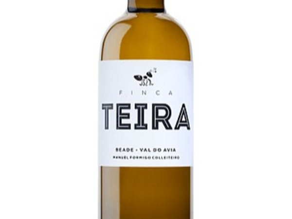 FINCA TEIRA 2023