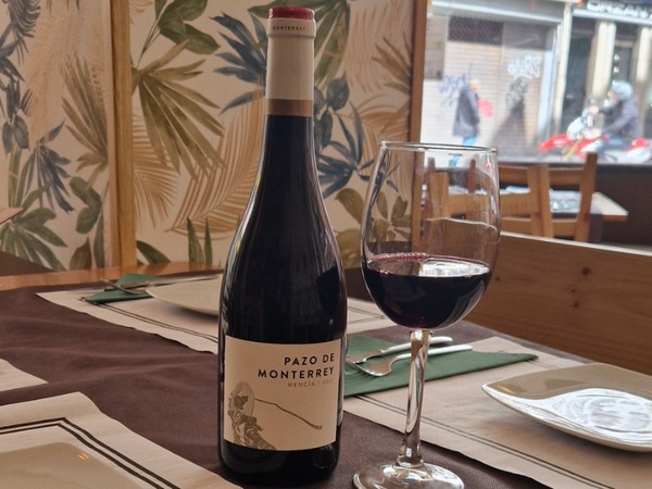 PAZO DE MONTEREY (MENCÍA)