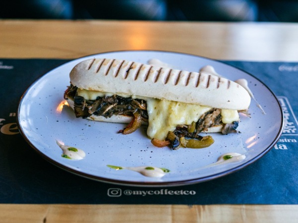 Panini Desmechado