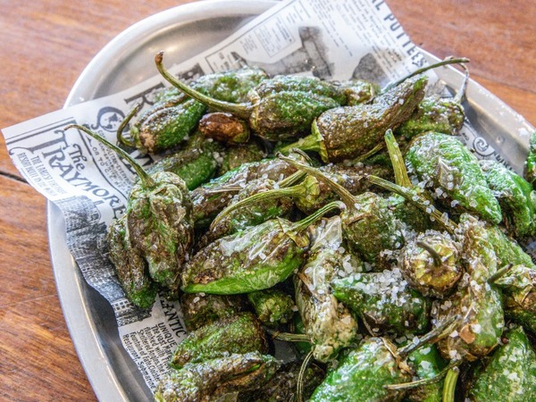 PIMIENTOS DE PADRÓN 