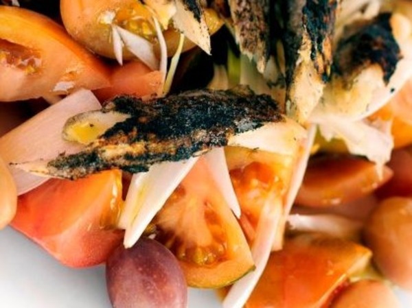 TOMATE CON VENTRESCA, CAPELLÁN Y OLIVAS