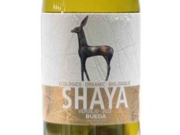 SHAYA VERDEJO