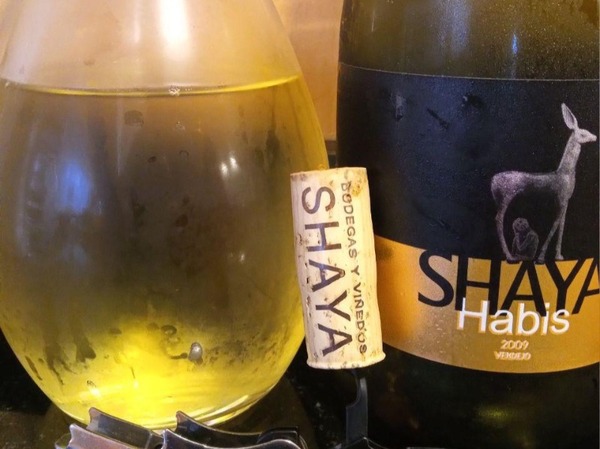 SHAYA HABIS 2019