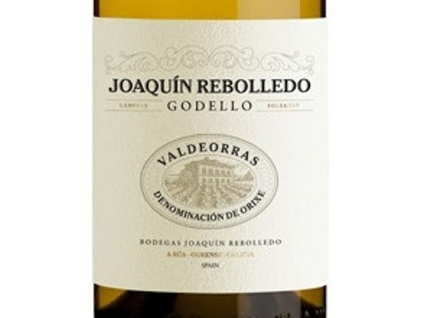 JOAQUIN REBOLLEDO GODELLO 2023