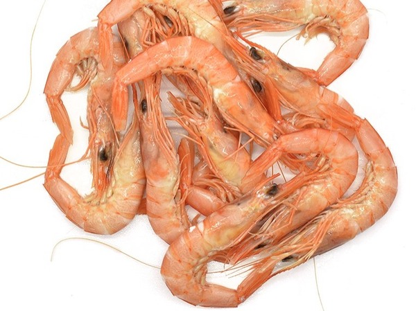 GAMBA BLANCA COCIDA
