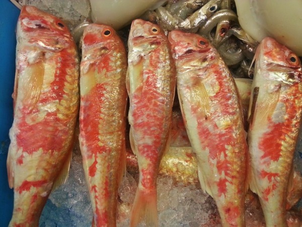 SALMONETES A LA PLANCHA 