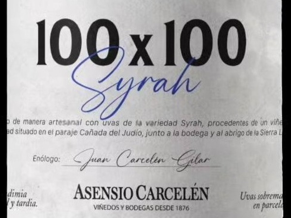 100 X 100 SYRAH 2023
