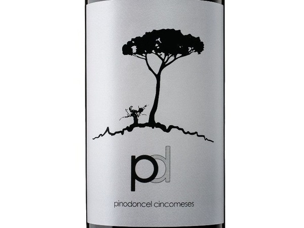 PINO DONCEL BLACK