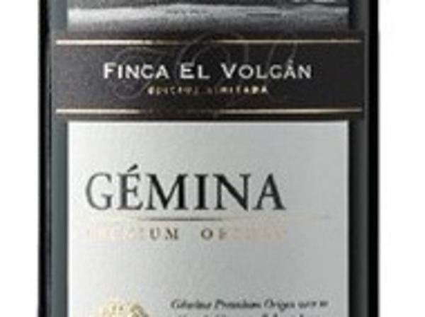 GEMINA FINCA EL VOLCAN 2018