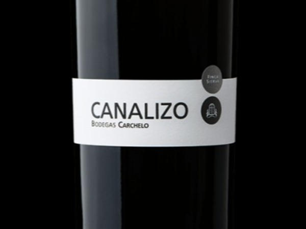 CANALIZO 2014