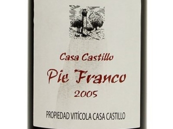 CASA CASTILLO PIE FRANCO 2005