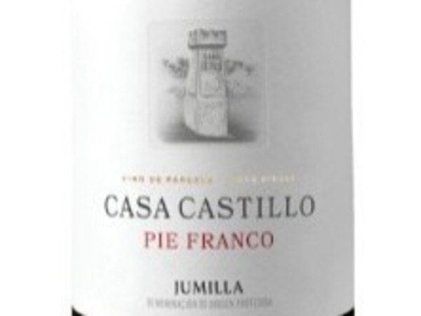 CASA CASTILLO  PIE FRANCO 2021