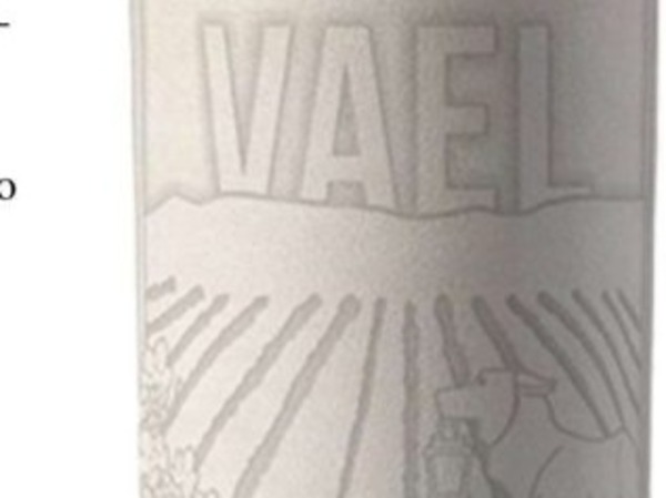 VAEL TINTO 2020