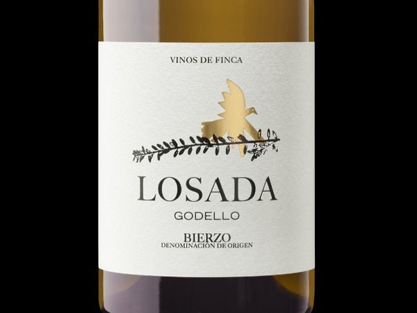 LOSADA GODELLO SOBRE LÍAS 2020