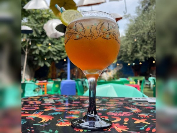 BOTANICAL BEER X1