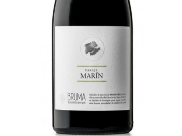 BRUMA PARAJE MARÍN 2023