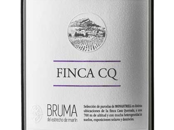 BRUMA FINCA CQ 2023