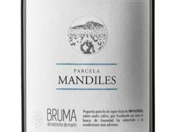 BRUMA PARCELA MANDILES 2020/22