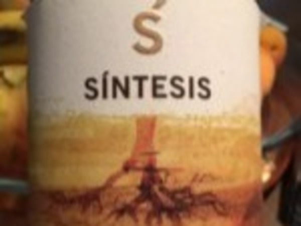 SÍNTESIS 2005